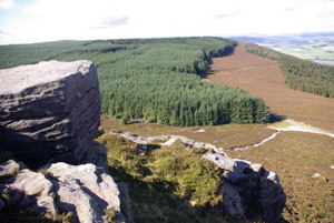 Simonside