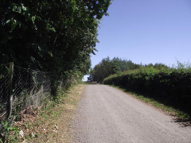 Paul test walk