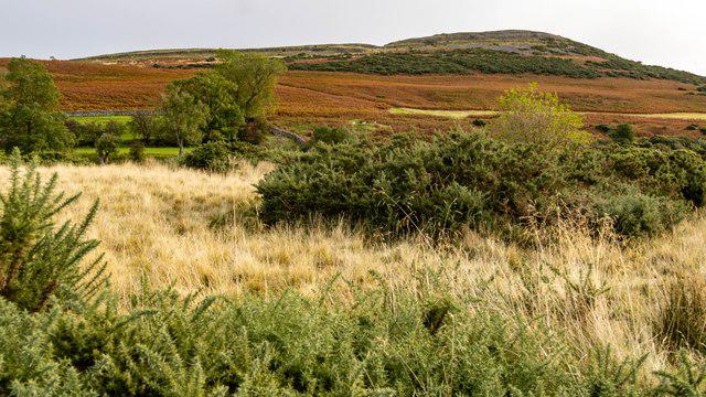 Knipescar Common [Knipe Scar] Gallery | Walkmates | Walkmates