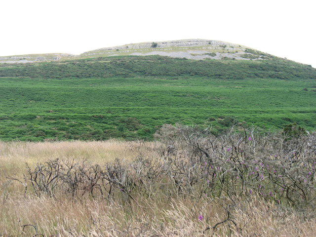 Knipescar Common [Knipe Scar] Gallery | Walkmates | Walkmates