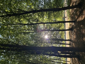 Photo shared by Alison