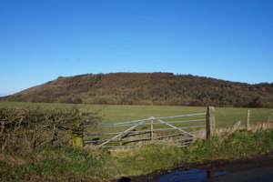 The Wrekin
