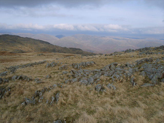View all 20 photos