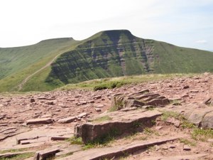 Cribyn