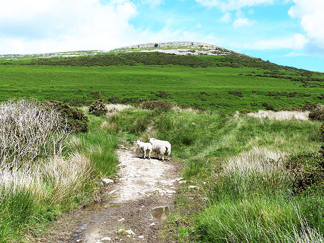Knipescar Common [Knipe Scar] Gallery | Walkmates | Walkmates