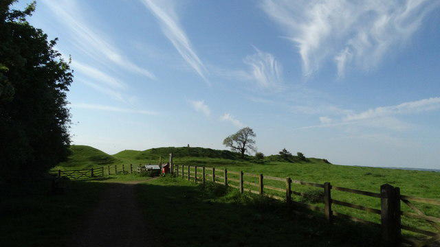 View all 25 photos