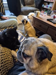 Photo shared by chris