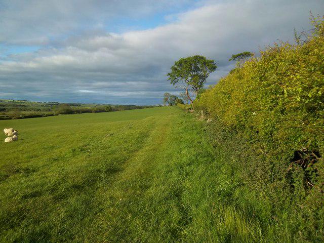 Alnwick Juniors FC Loop (Alnwick Greenway)