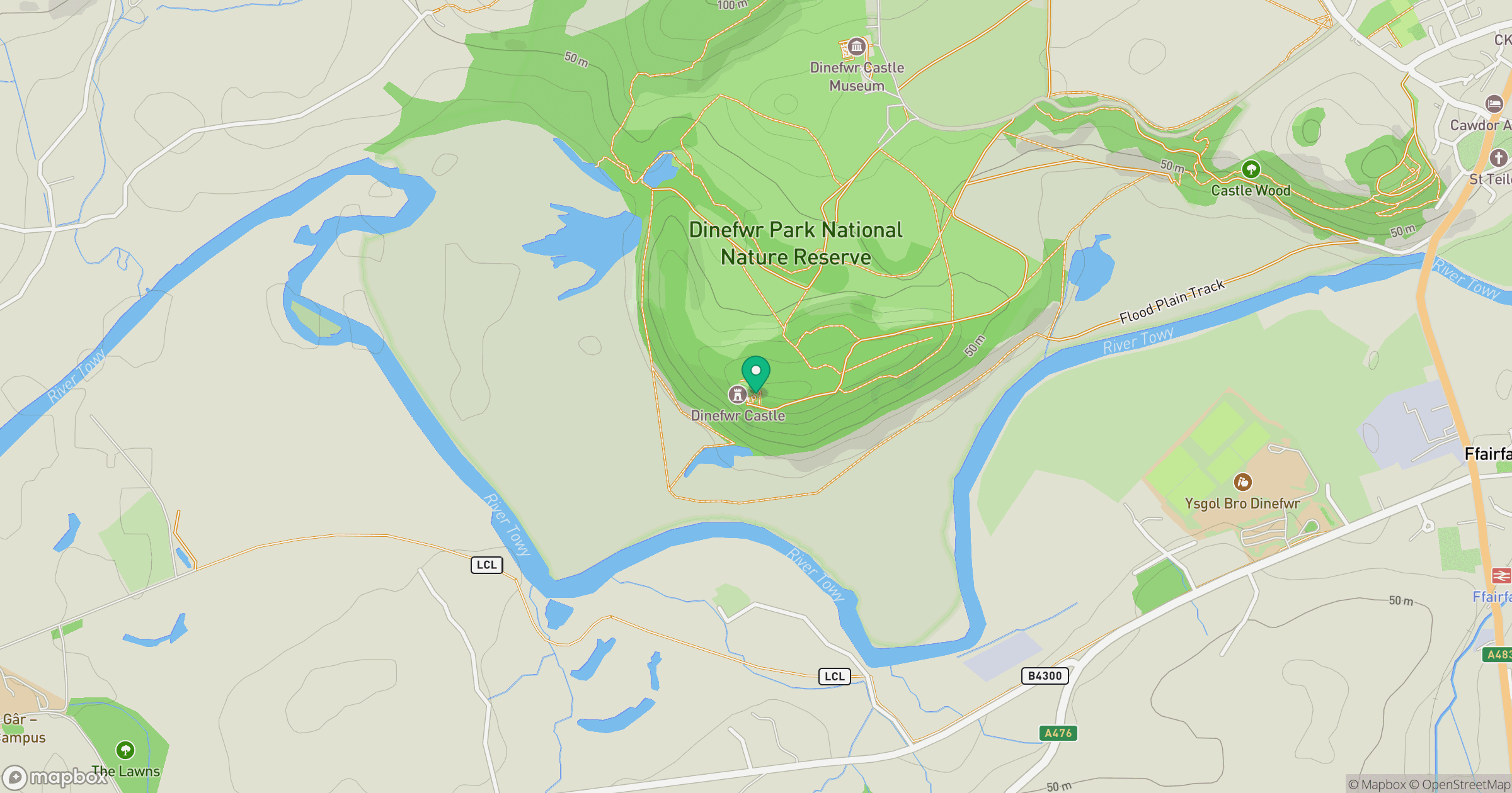 Dynevor Castle location map