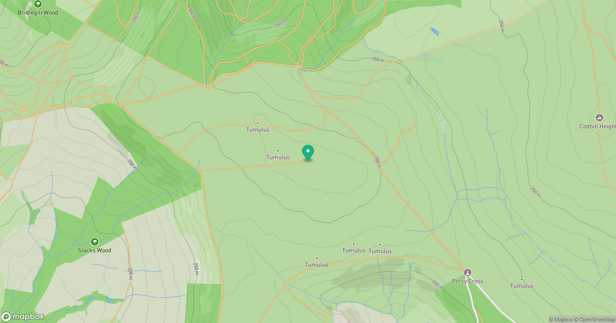 Great Ayton Moor location map
