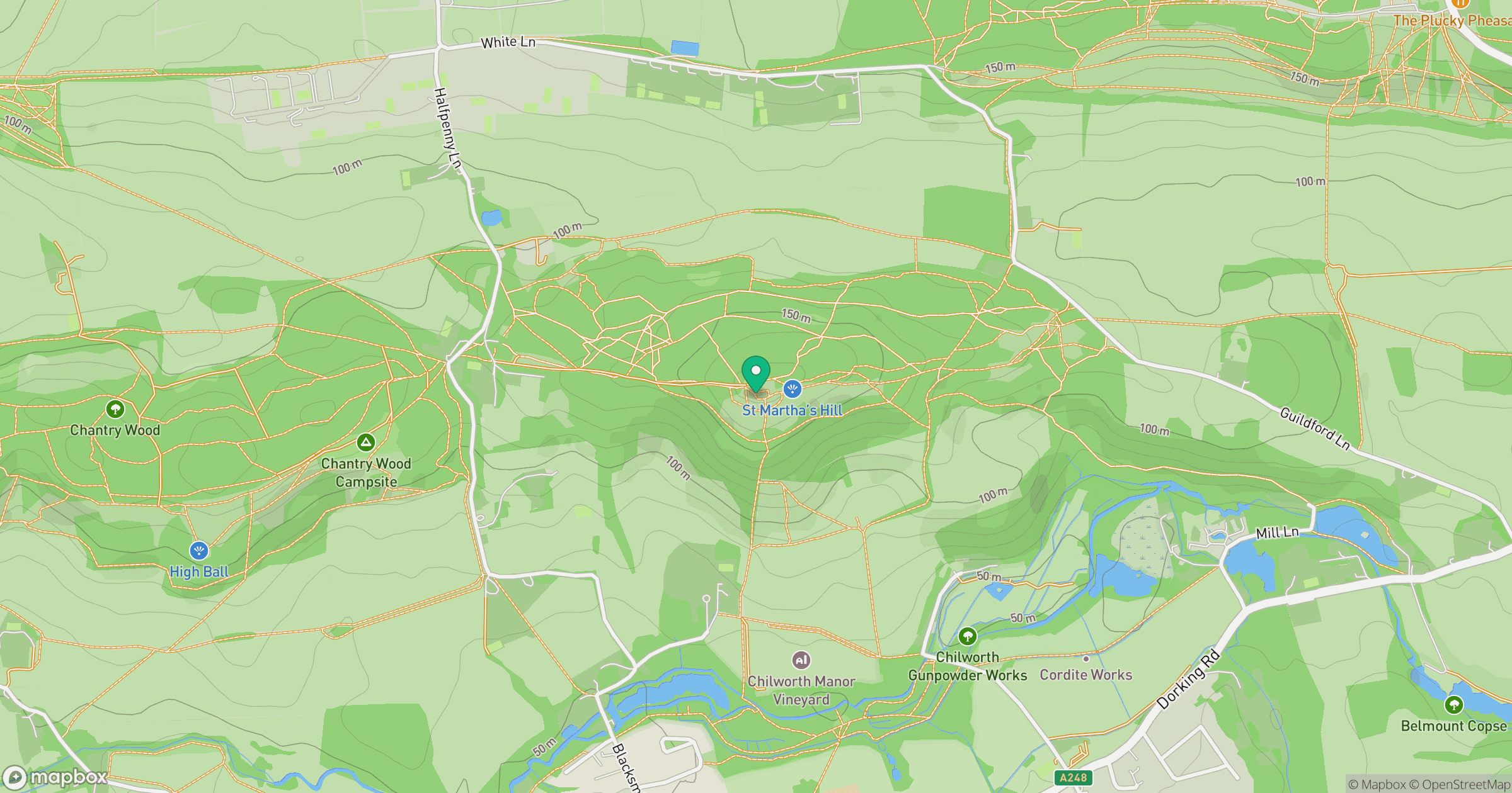 St Martha's Hill location map