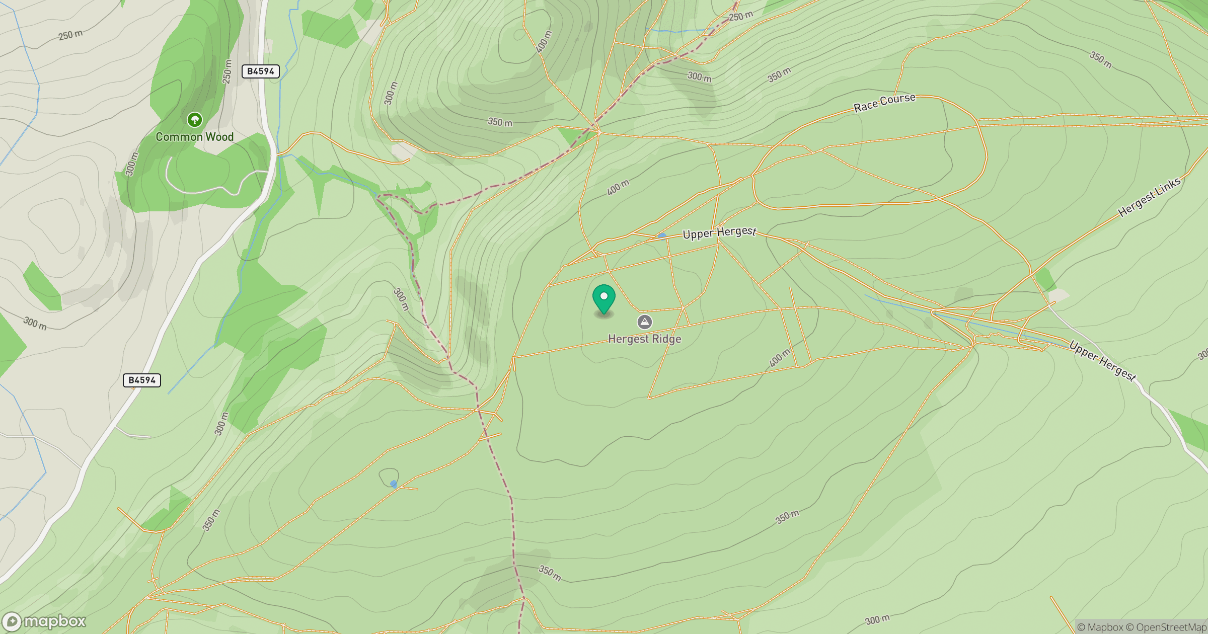 Hergest Ridge location map