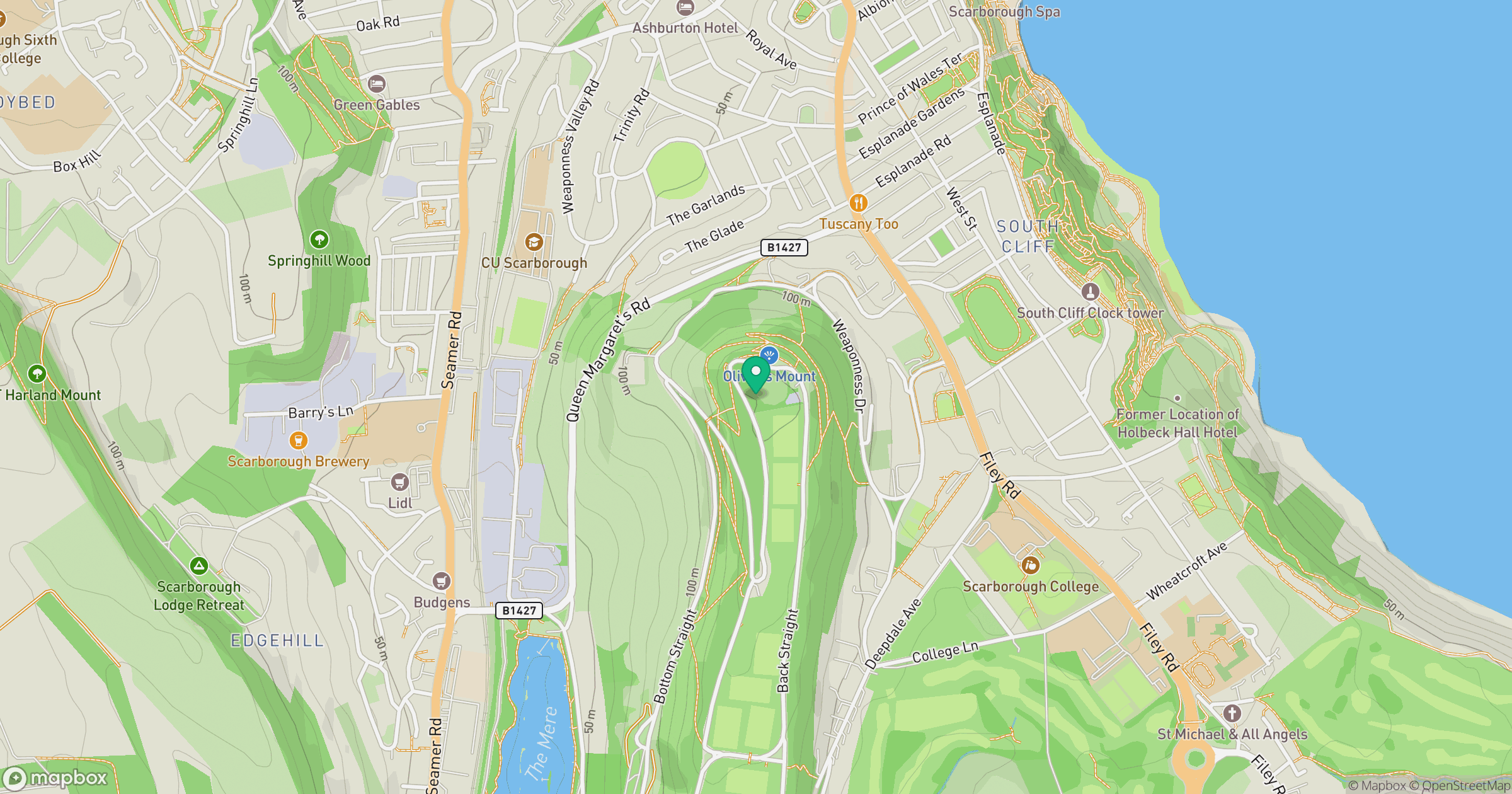 Oliver's Mount location map