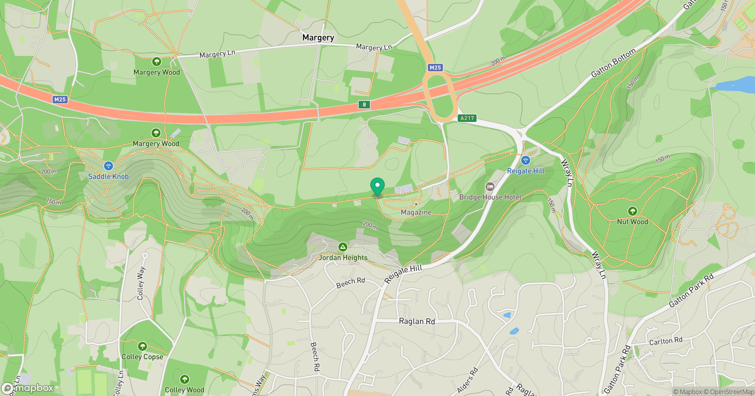 Reigate Hill location map