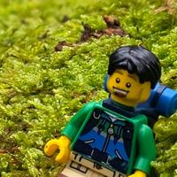 myshortwalks's Profile Photo