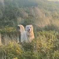 Happy's profile photo