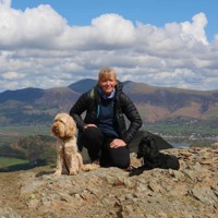 kimbo's Profile Photo