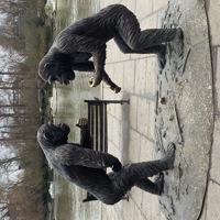 Walkingdave's profile photo