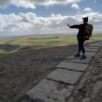 Hullhiker's profile photo